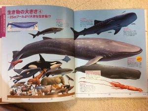 『小学館の図鑑NEO＋　くらべる図鑑』生き物の大きさ４